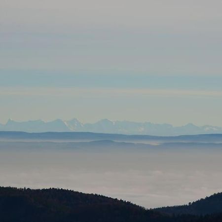 Doller Villa 4 Stars Hot Tub Mountain Ski Ballon D'Alsace Sewen المظهر الخارجي الصورة