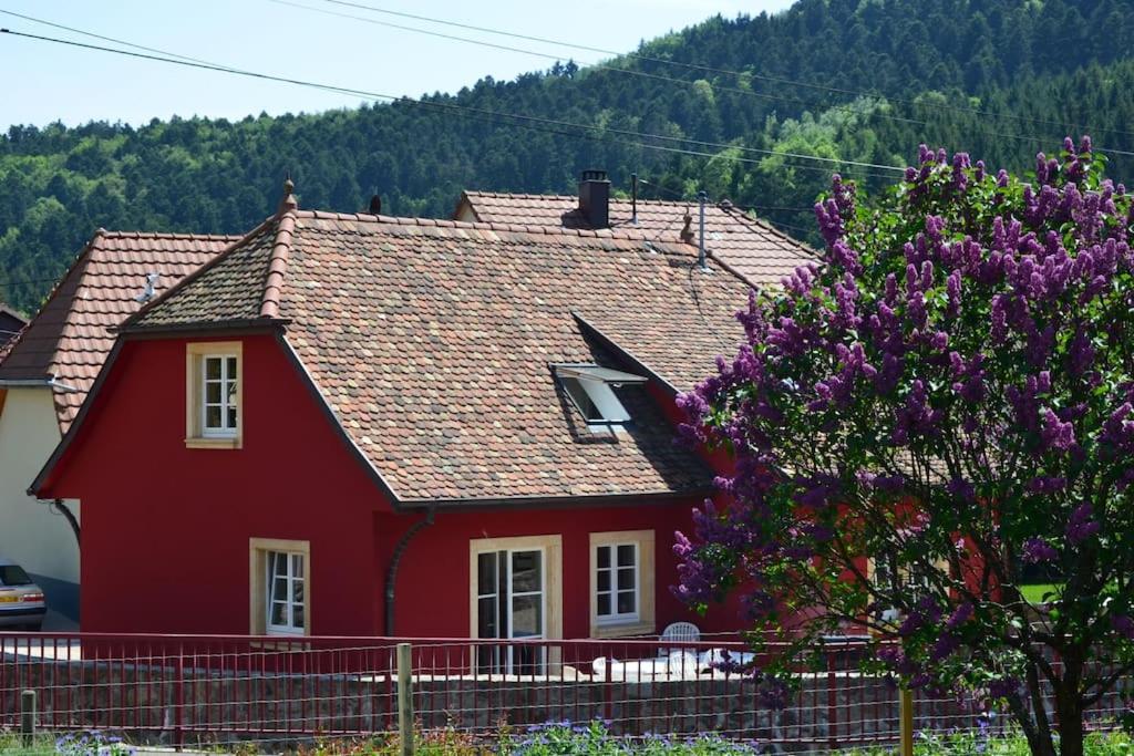 Doller Villa 4 Stars Hot Tub Mountain Ski Ballon D'Alsace Sewen المظهر الخارجي الصورة